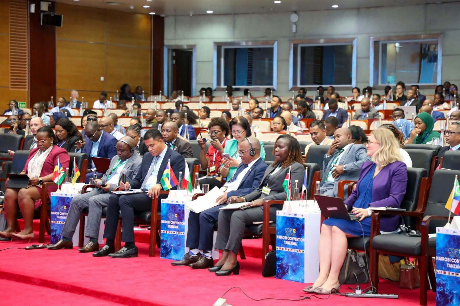 Kenya calls for implementation, investment and measurable impact at the 12th Conference of the Parties (COP12)