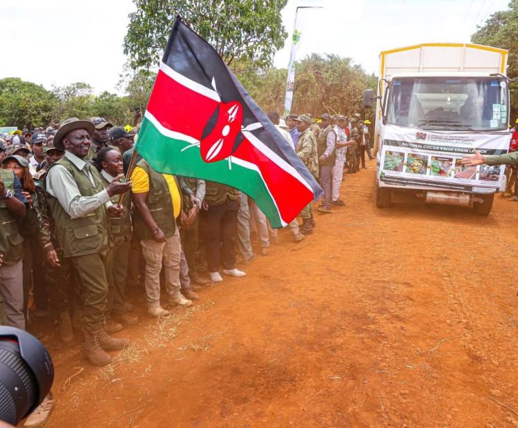 President William Ruto flag off National Cocoa Value Chain during Mazingira Day Celeberations in Trans Nzoia County
